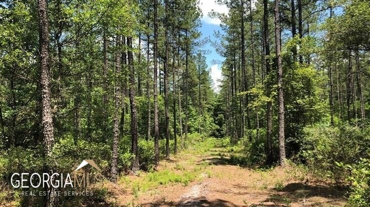 Lot 1 Baker Blvd/cr 4 Property Photo 4