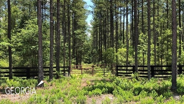 Lot 1 Baker Blvd/cr 4 Property Photo 5