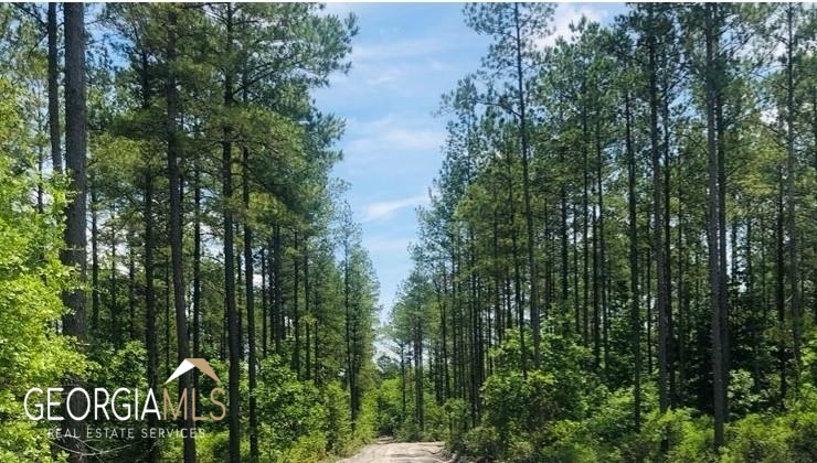 Lot 1 Baker Blvd/cr 4 Property Photo 6