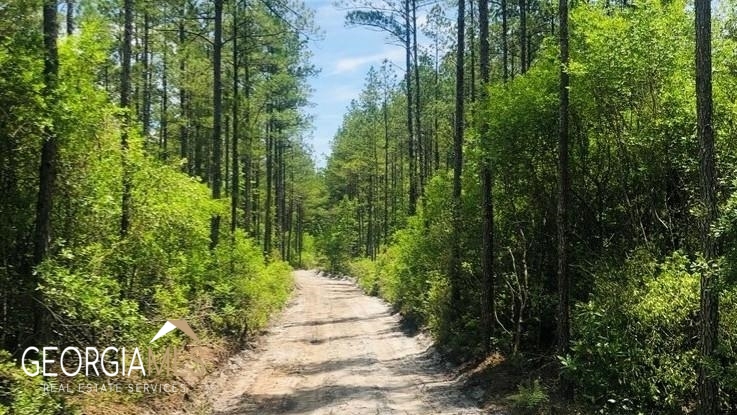 Lot 1 Baker Blvd/cr 4 Property Photo 7