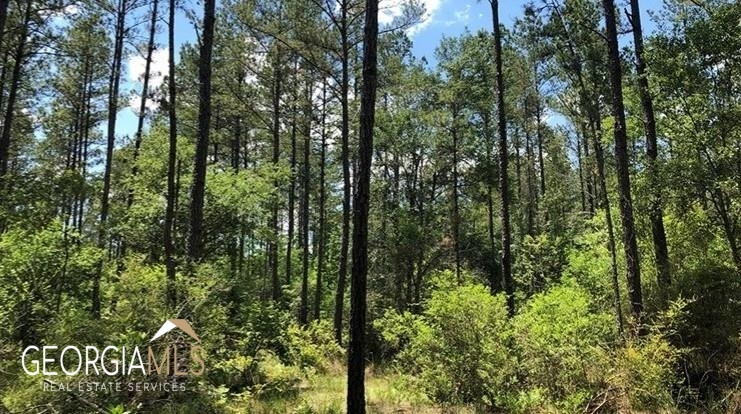Lot 1 Baker Blvd/cr 4 Property Photo 9
