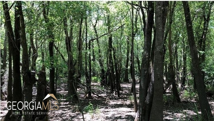 Lot 1 Baker Blvd/cr 4 Property Photo 11