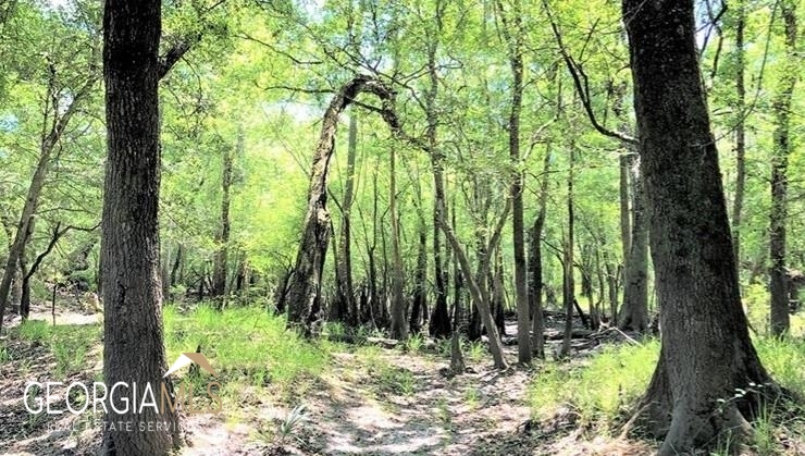 Lot 2 Baker Blvd/cr 4 Property Photo 5