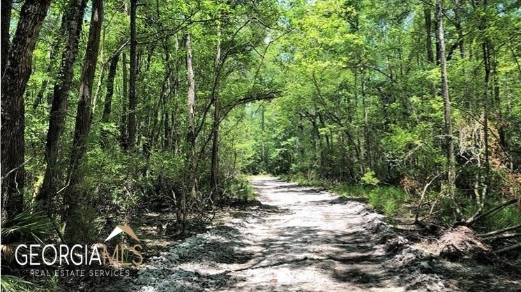 Lot 2 Baker Blvd/cr 4 Property Photo 6
