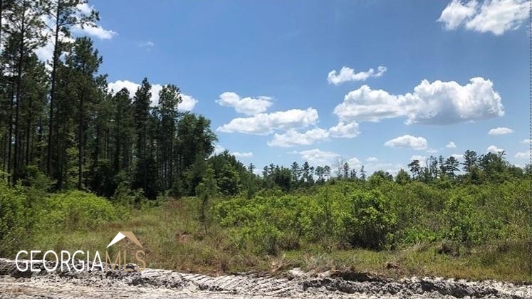 Lot 2 Baker Blvd/cr 4 Property Photo 7