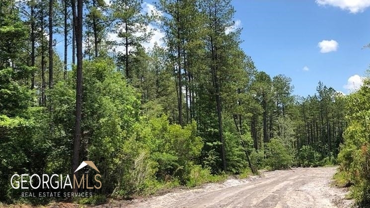 Lot 2 Baker Blvd/cr 4 Property Photo 8