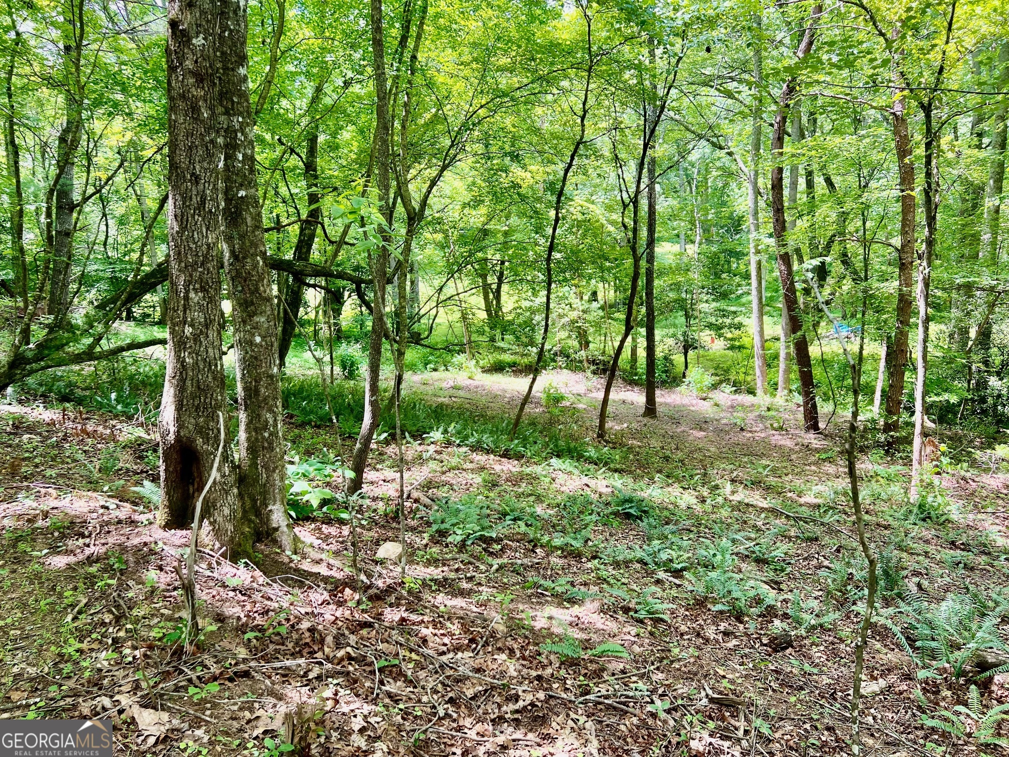 Lot 3 Lower Fox Trail Property Photo 1