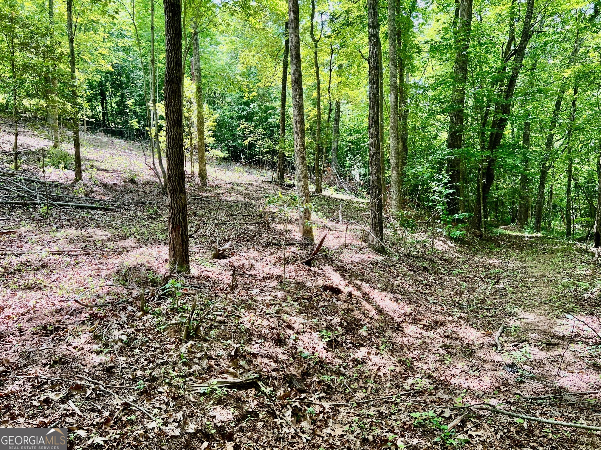 Lot 3 Lower Fox Trail Property Photo 3