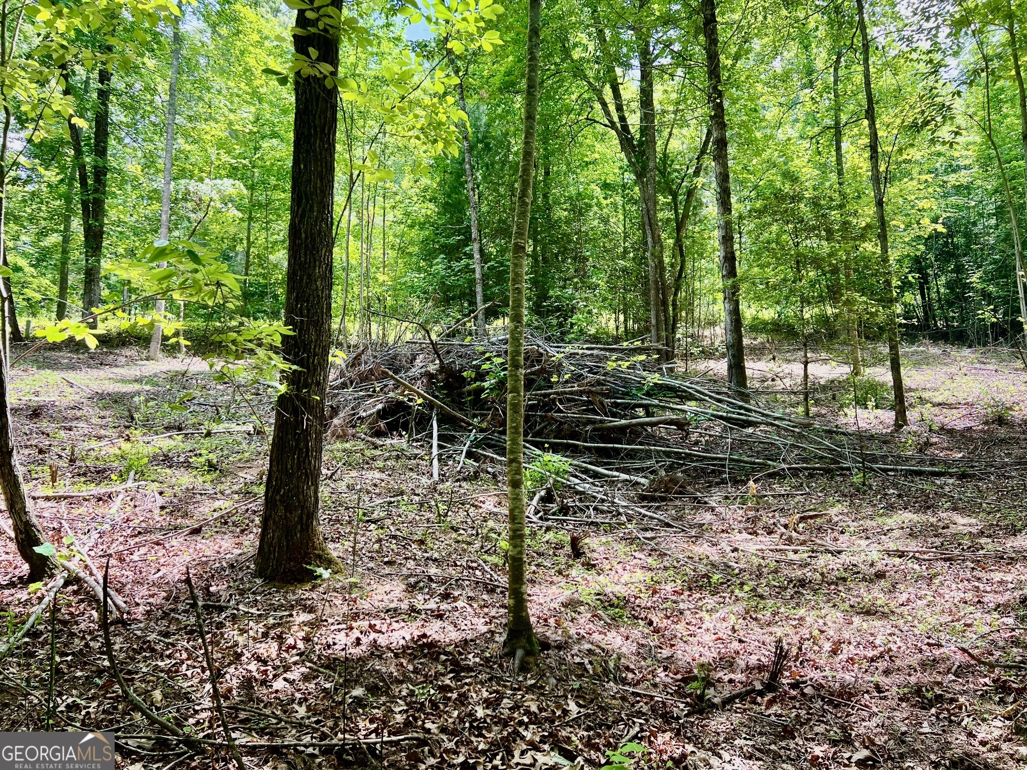 Lot 3 Lower Fox Trail Property Photo 4