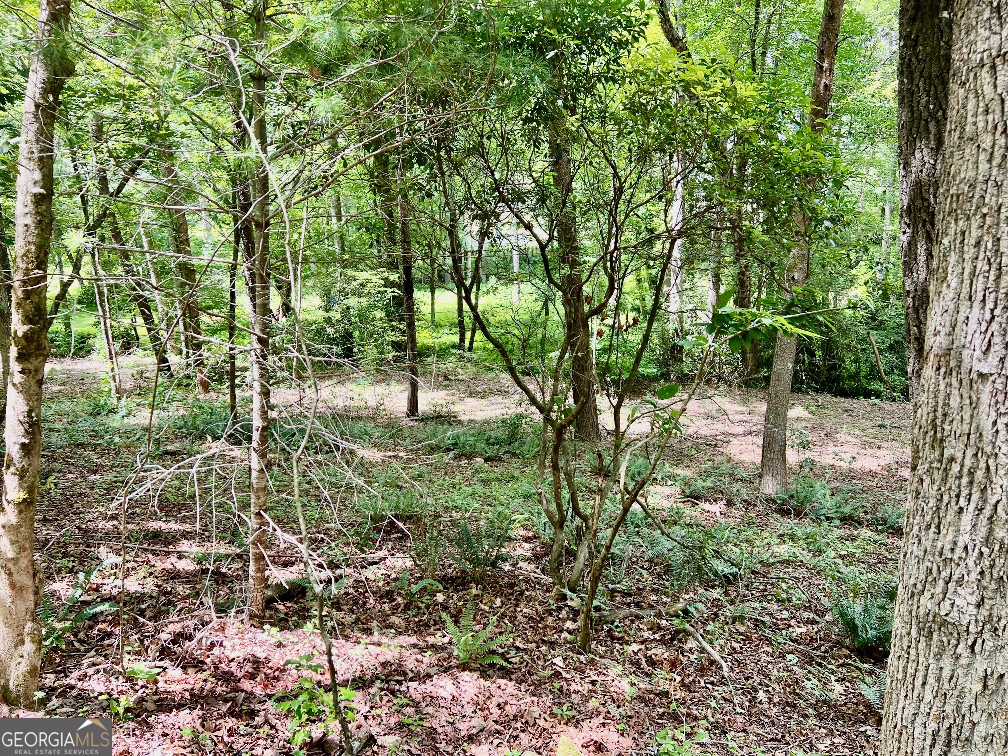 Lot 3 Lower Fox Trail Property Photo 5