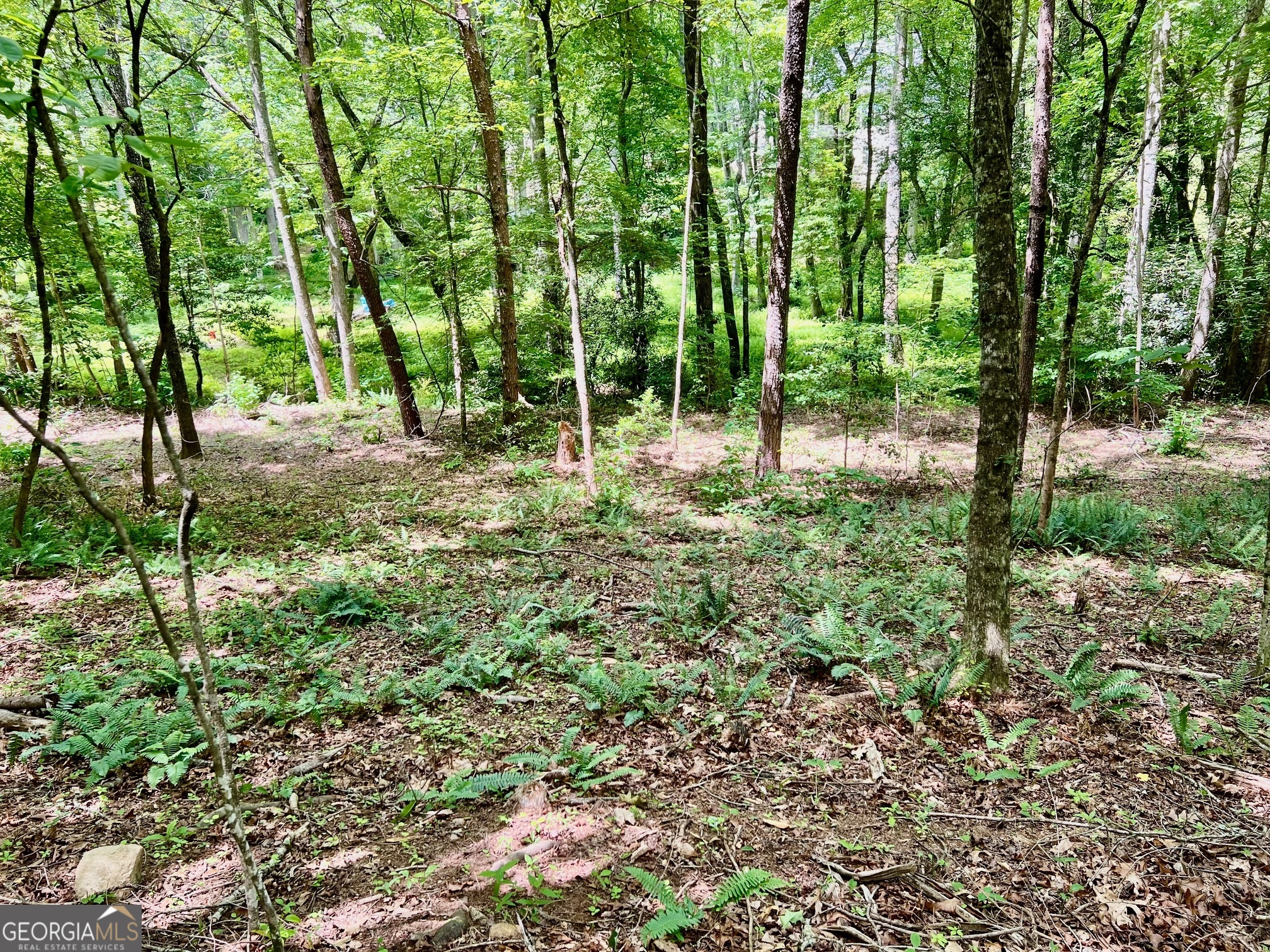 Lot 3 Lower Fox Trail Property Photo 7