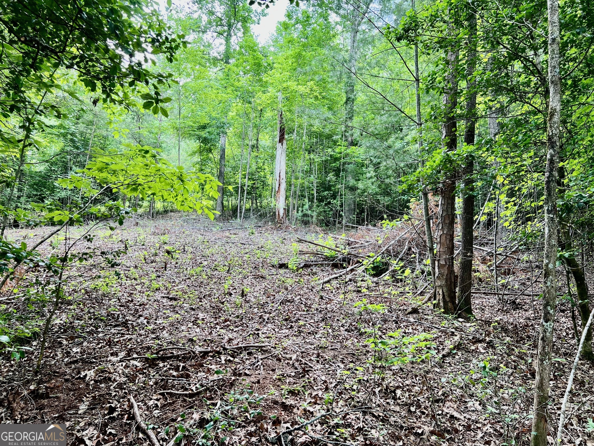 Lot 3 Lower Fox Trail Property Photo 8
