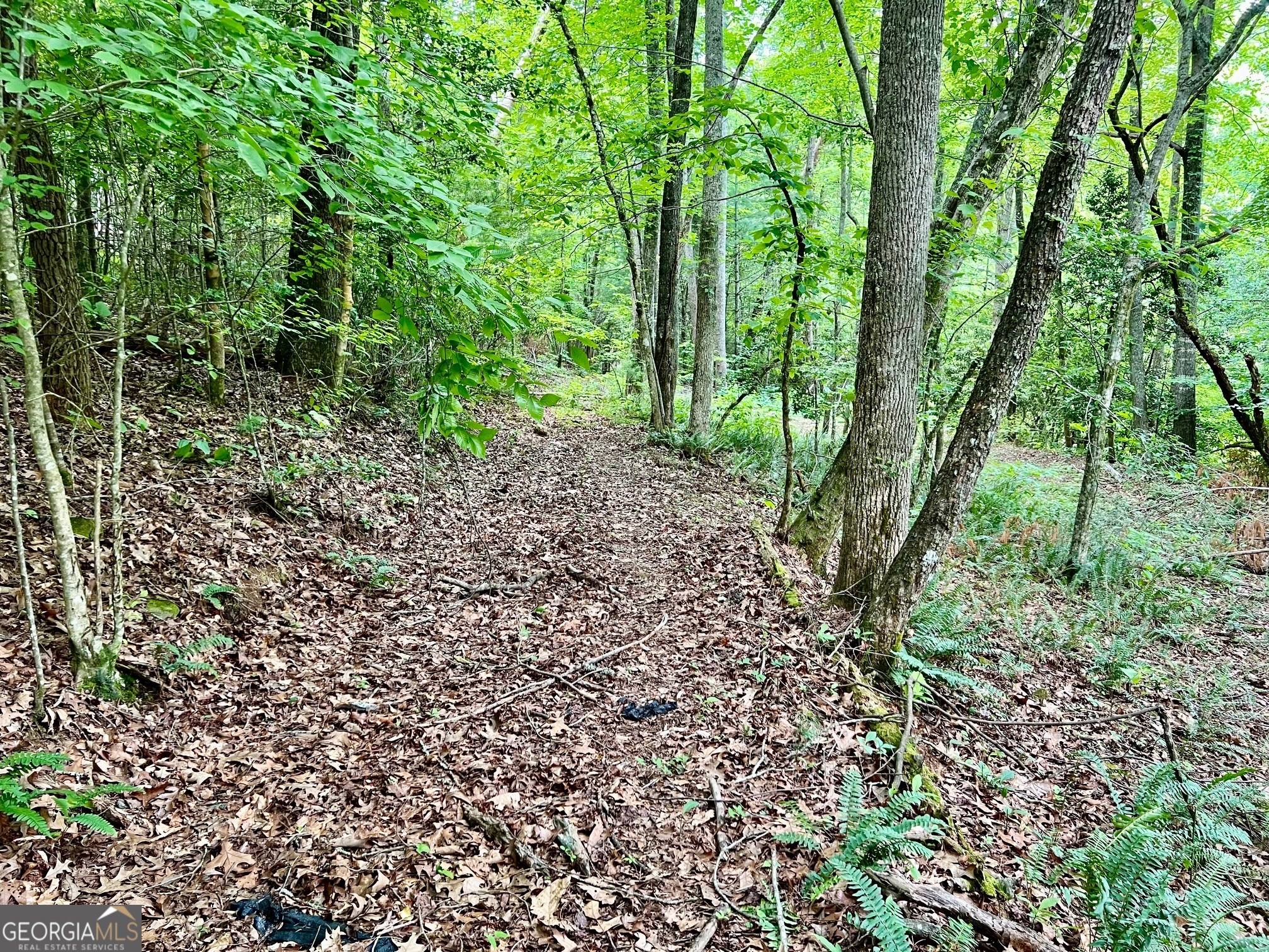 Lot 3 Lower Fox Trail Property Photo 9