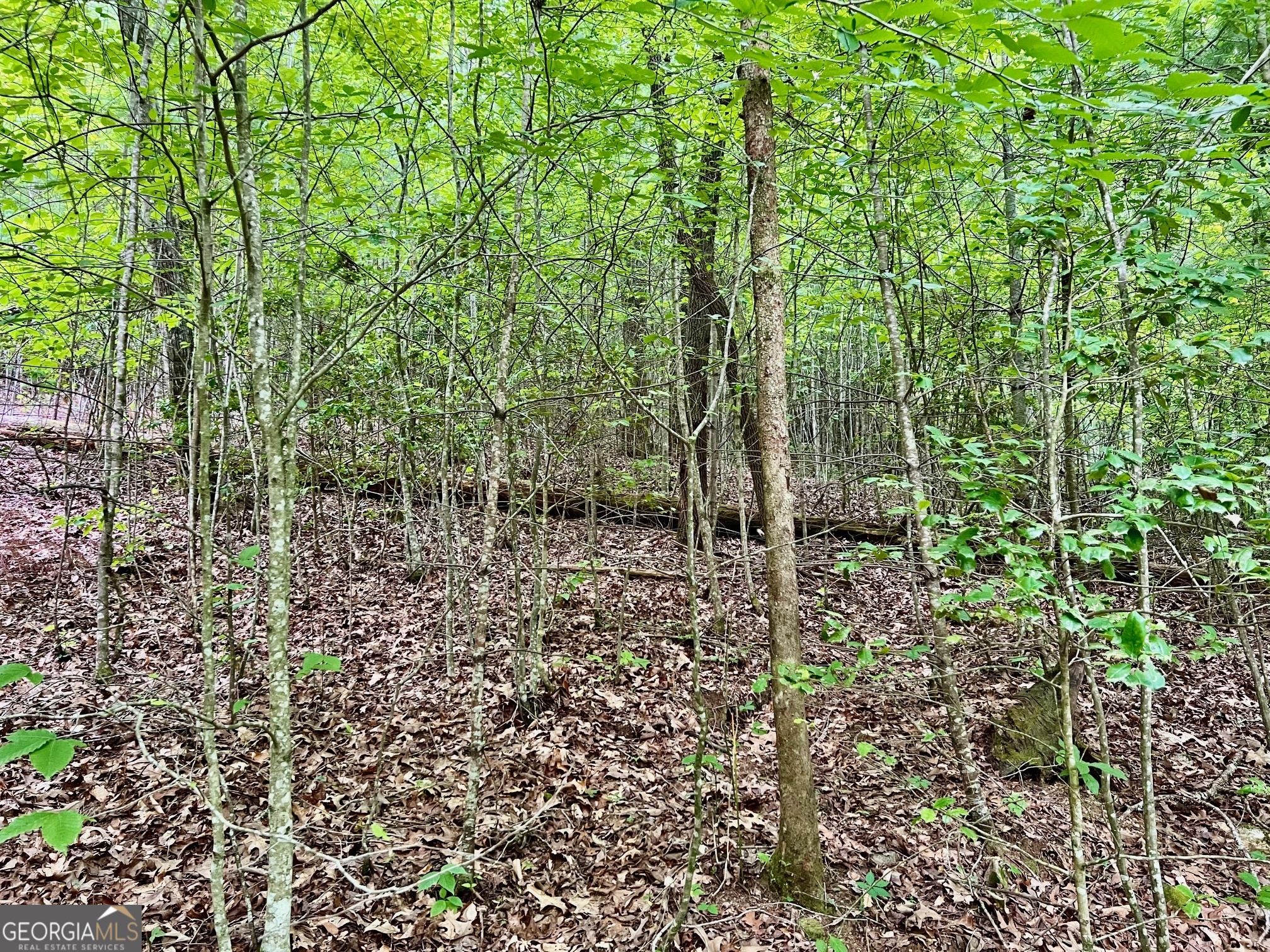 Lot 3 Lower Fox Trail Property Photo 10