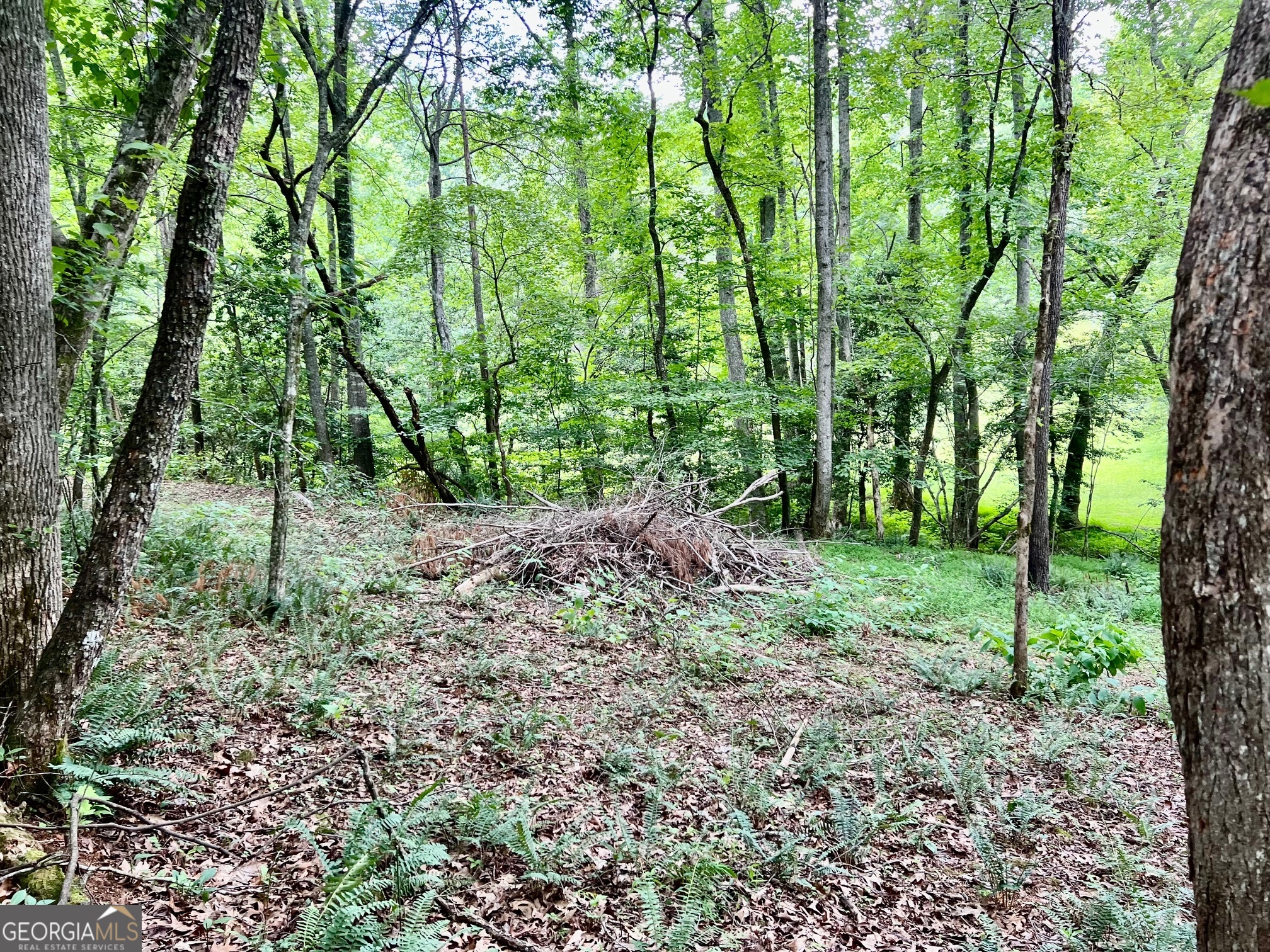 Lot 3 Lower Fox Trail Property Photo 11