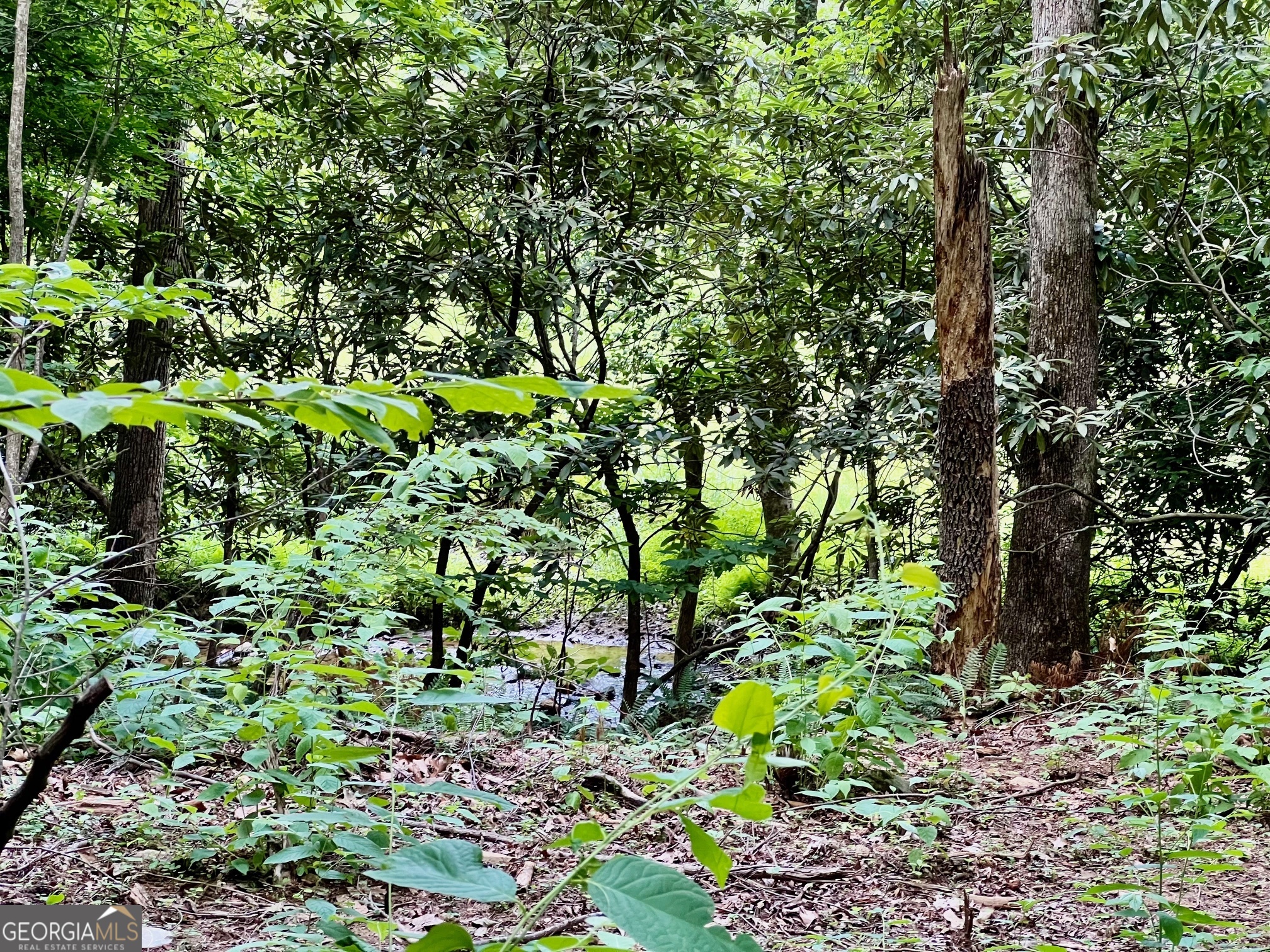 Lot 3 Lower Fox Trail Property Photo 12