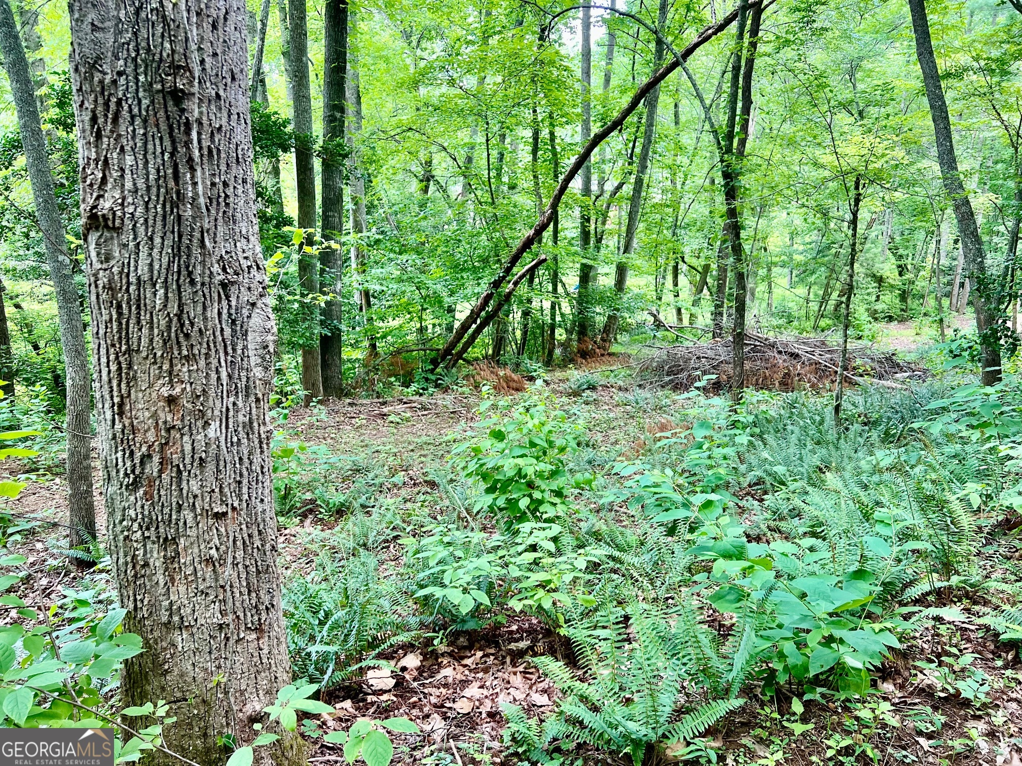 Lot 3 Lower Fox Trail Property Photo 13