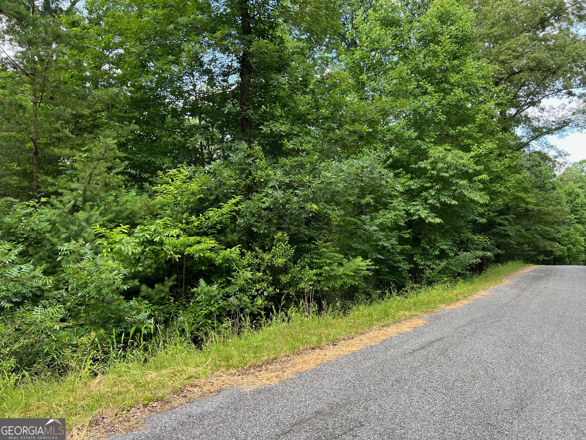 Lot 3 Lower Fox Trail Property Photo 14