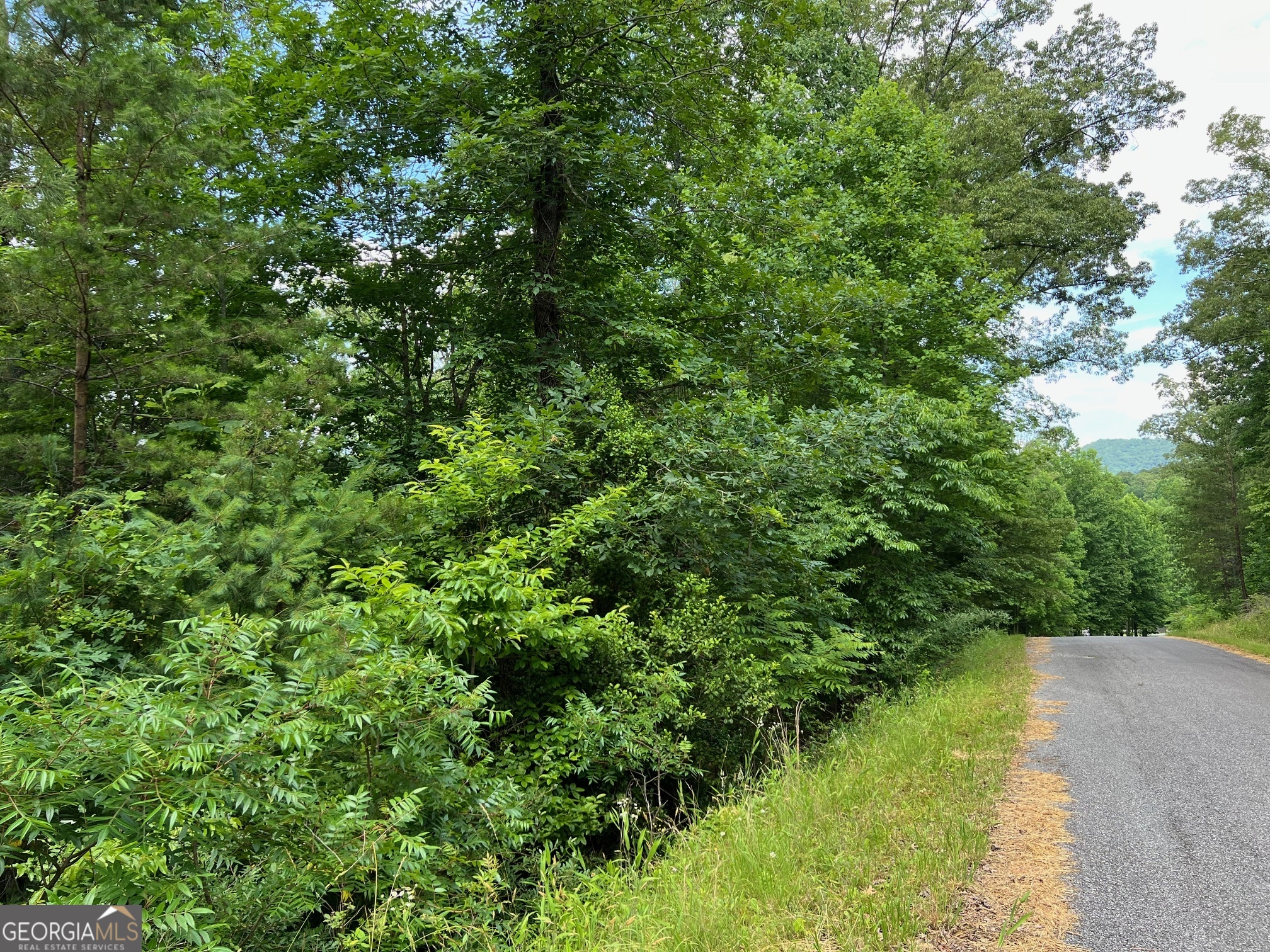 Lot 3 Lower Fox Trail Property Photo 15