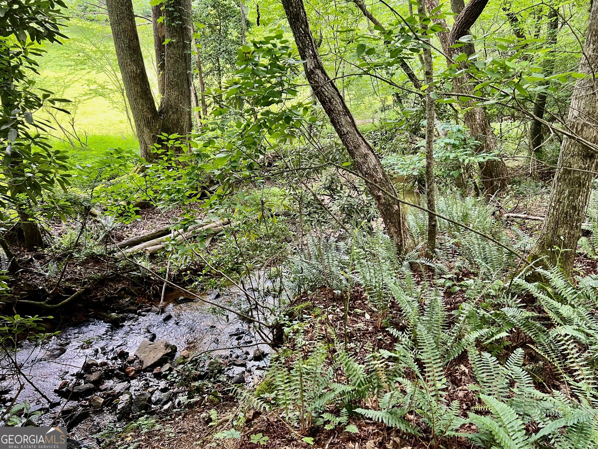 LOT 4 Lower Fox Trail