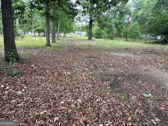308 Three Rivers Lane Property Photo 25