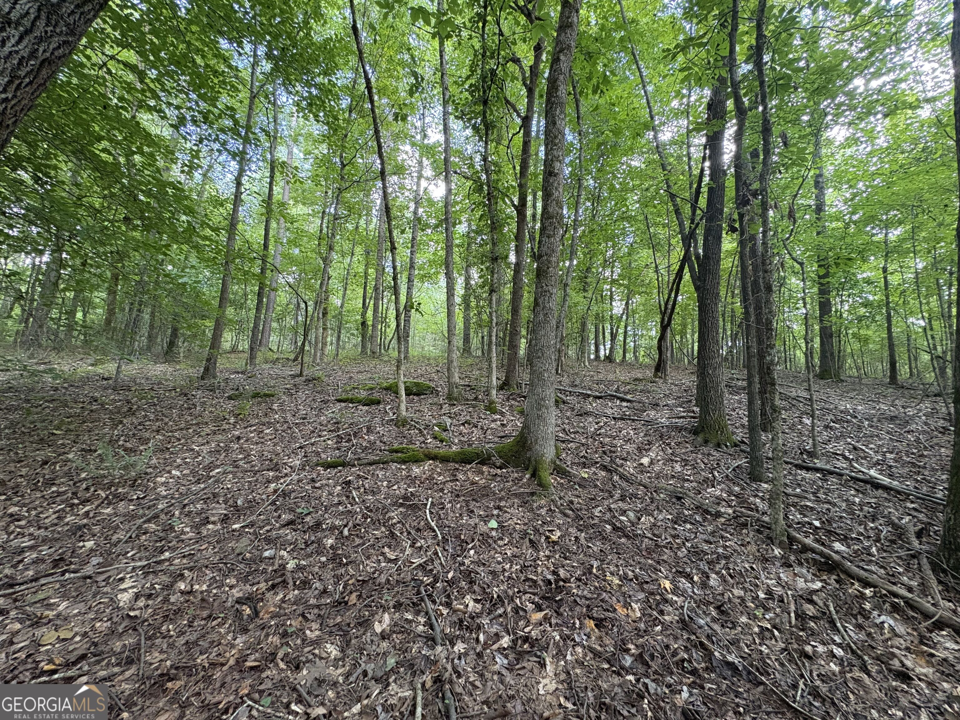 1208 Hornets Bridge Drive Property Photo 4