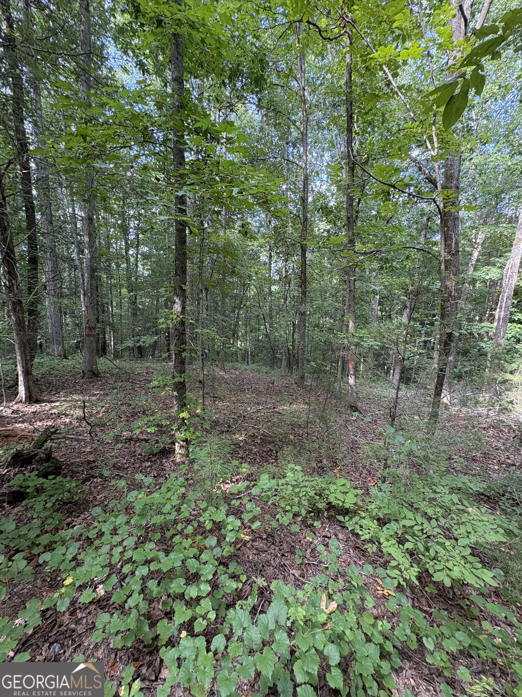 1208 Hornets Bridge Drive Property Photo 5