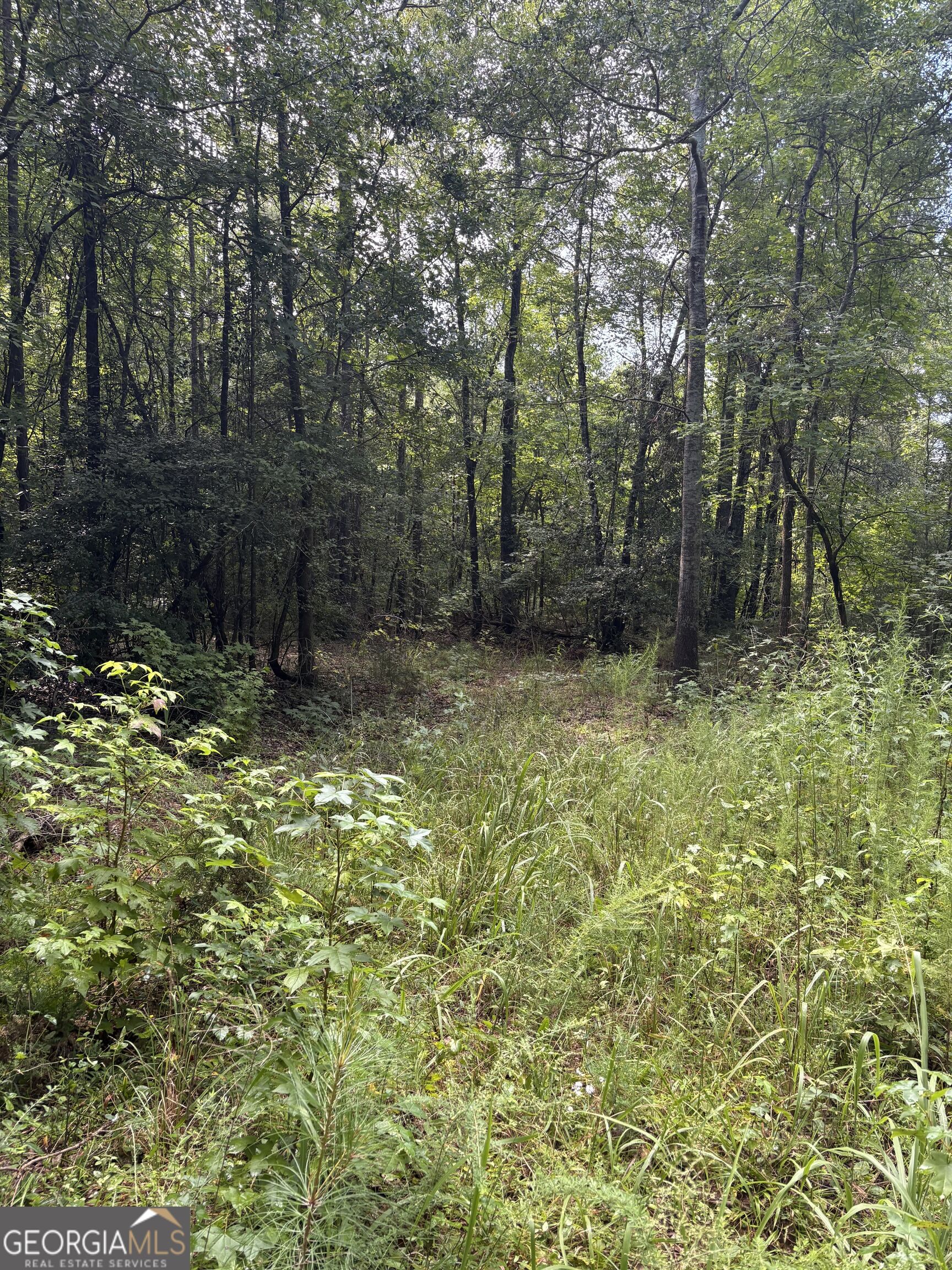 1208 Hornets Bridge Drive Property Photo 6
