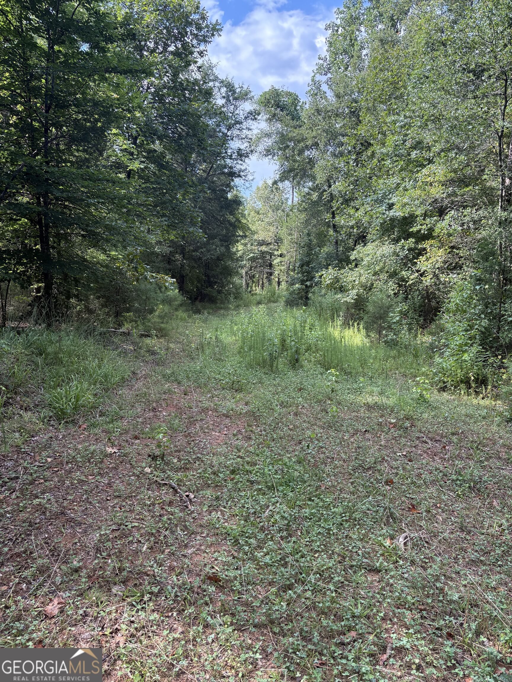 1208 Hornets Bridge Drive Property Photo 7
