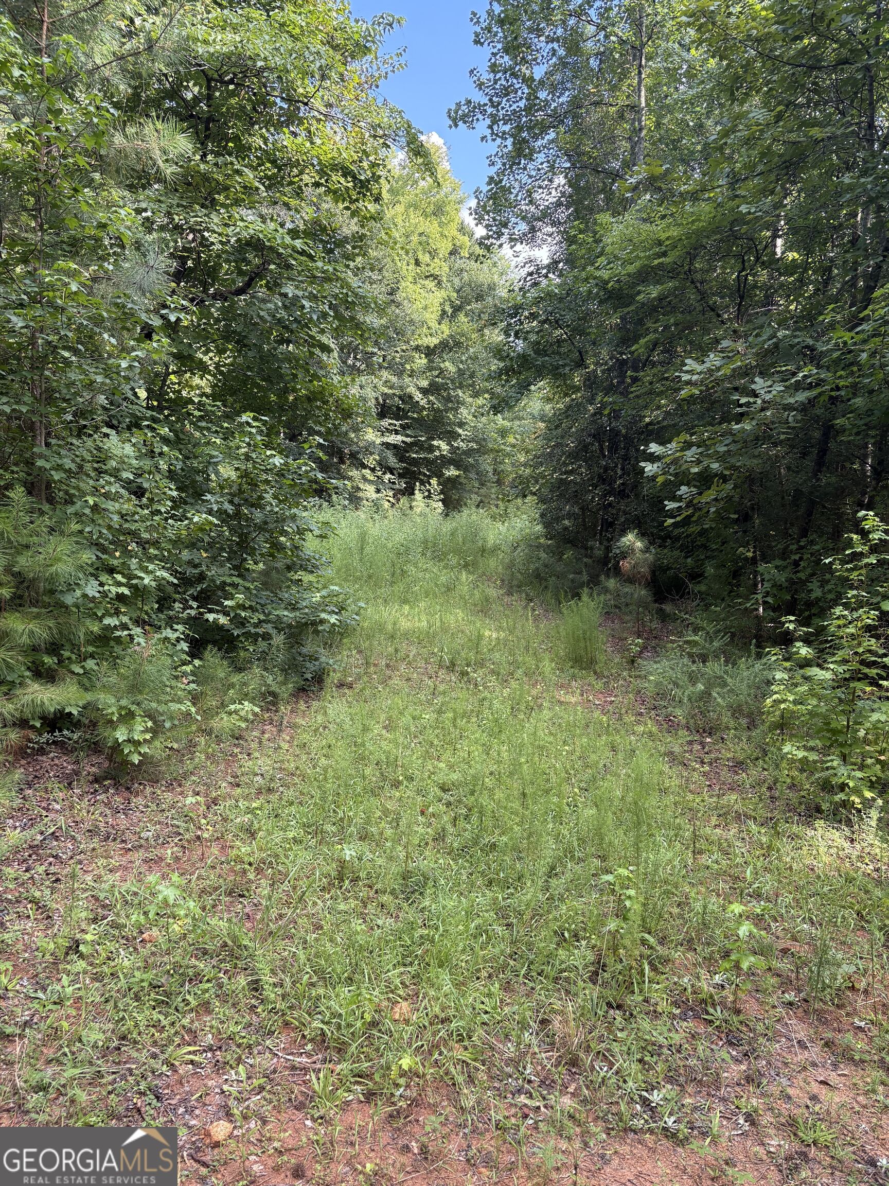 1208 Hornets Bridge Drive Property Photo 9