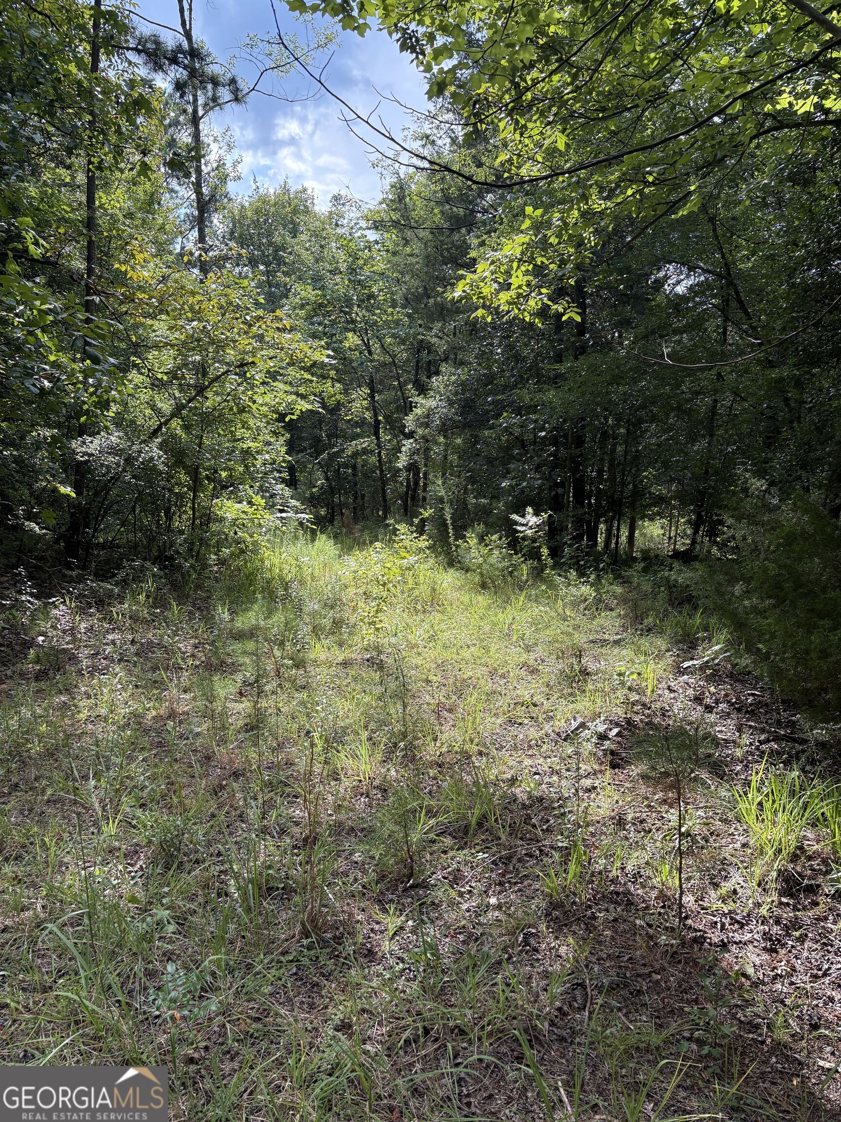 1208 Hornets Bridge Drive Property Photo 10
