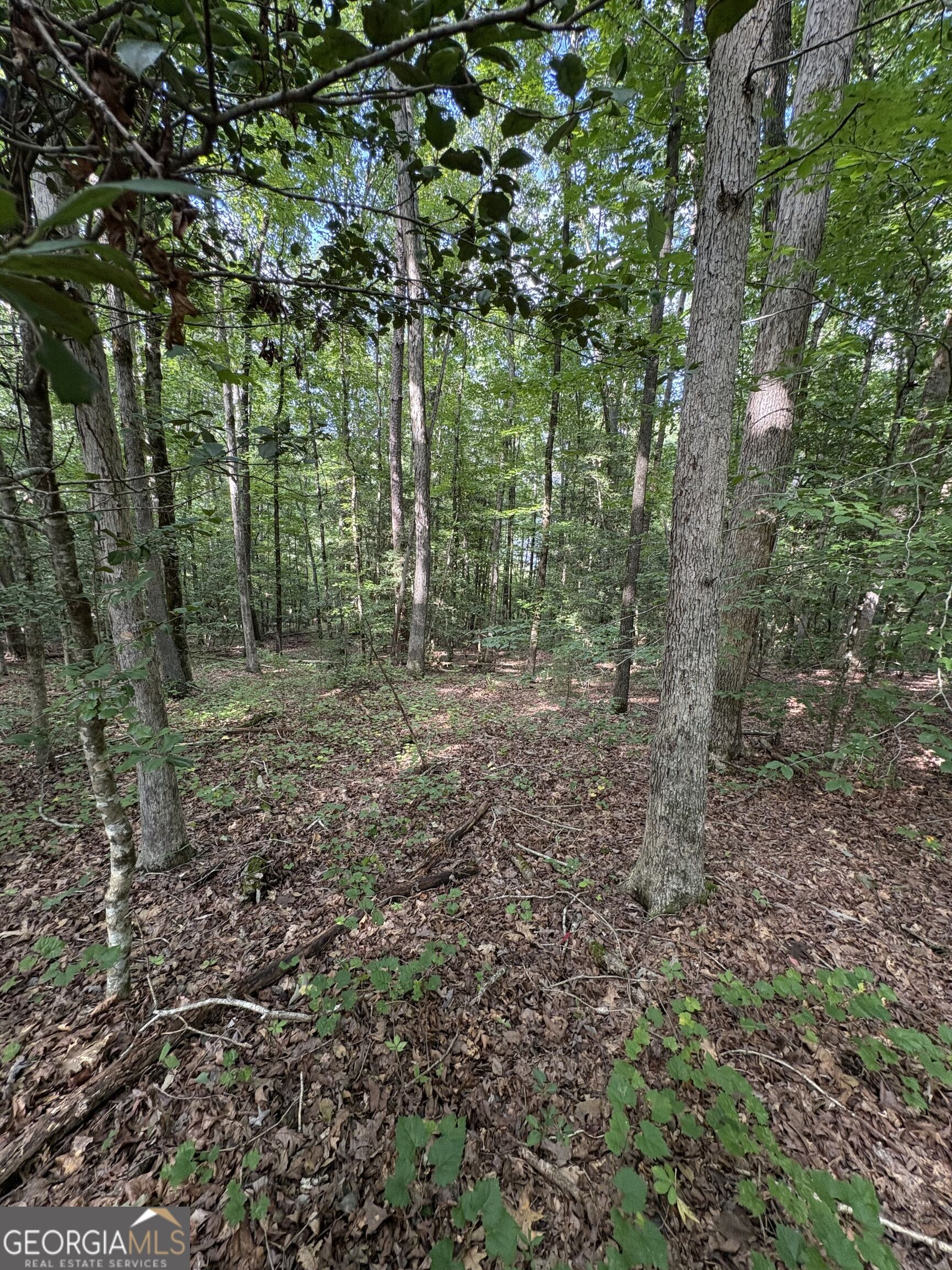 1208 Hornets Bridge Drive Property Photo 12