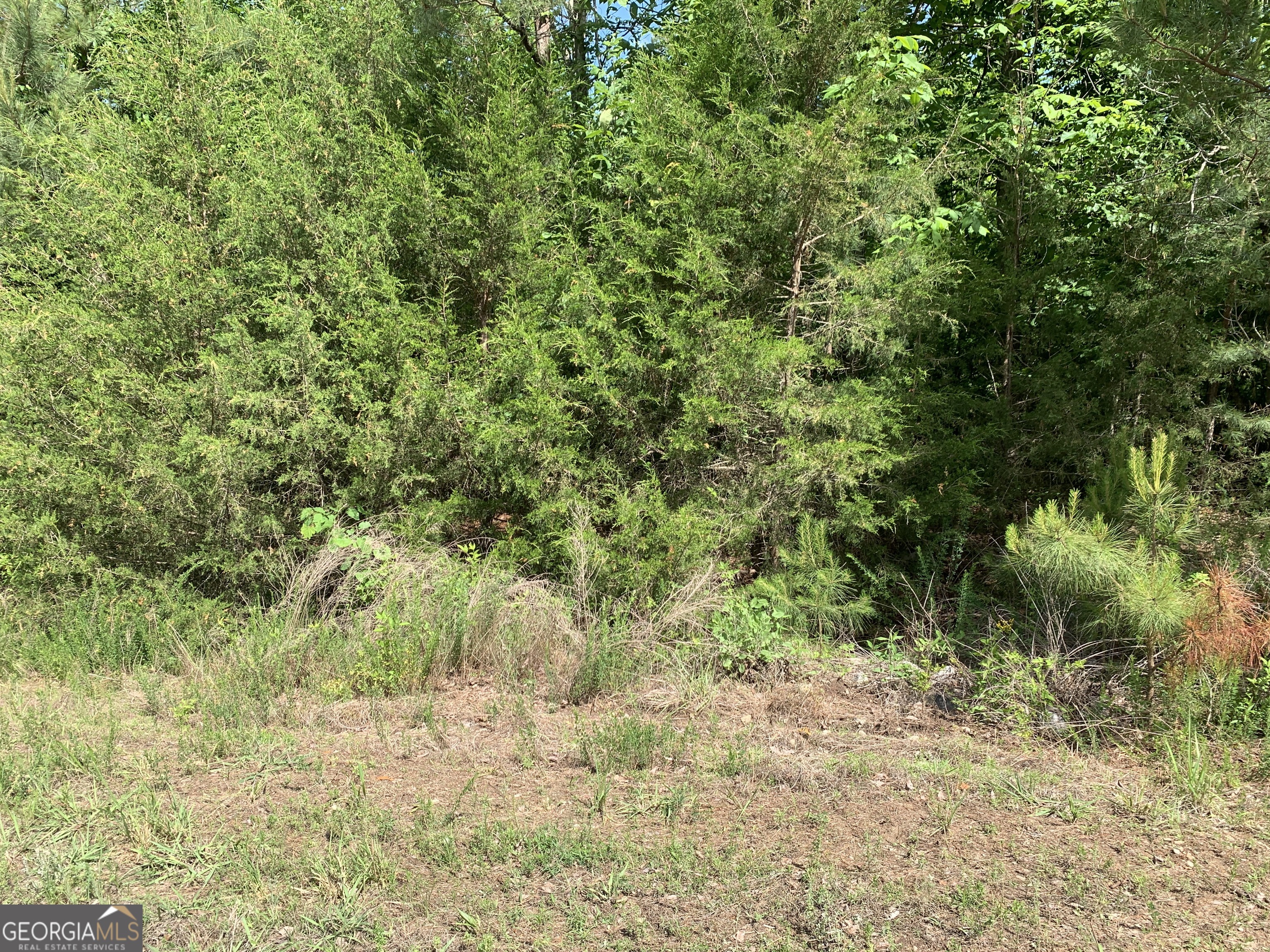 1208 Hornets Bridge Drive Property Photo 13