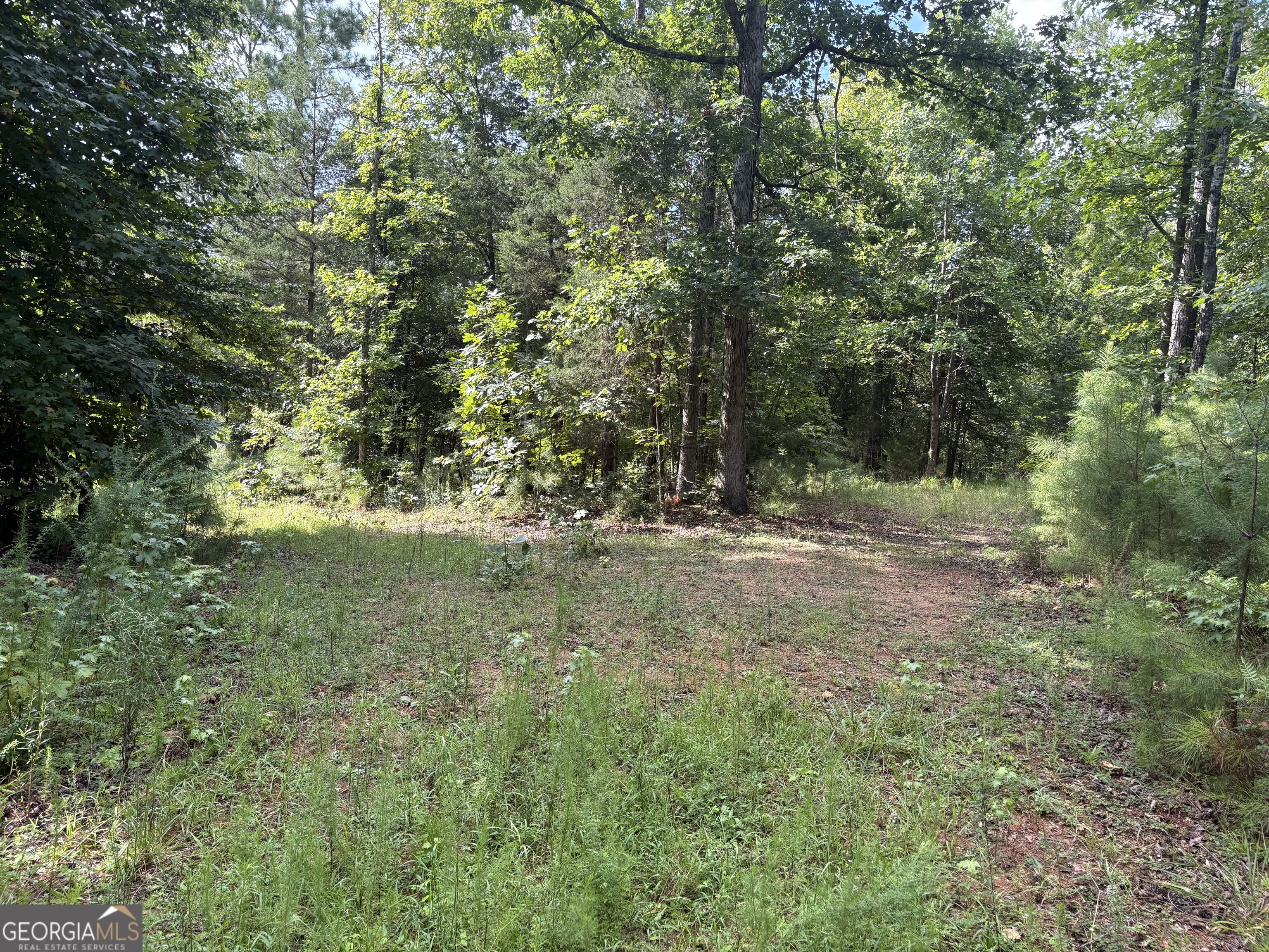1208 Hornets Bridge Drive Property Photo 14