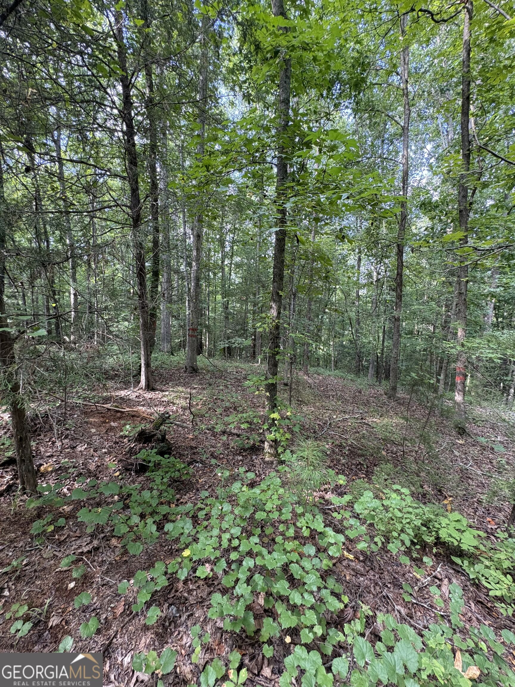 1208 Hornets Bridge Drive Property Photo 16