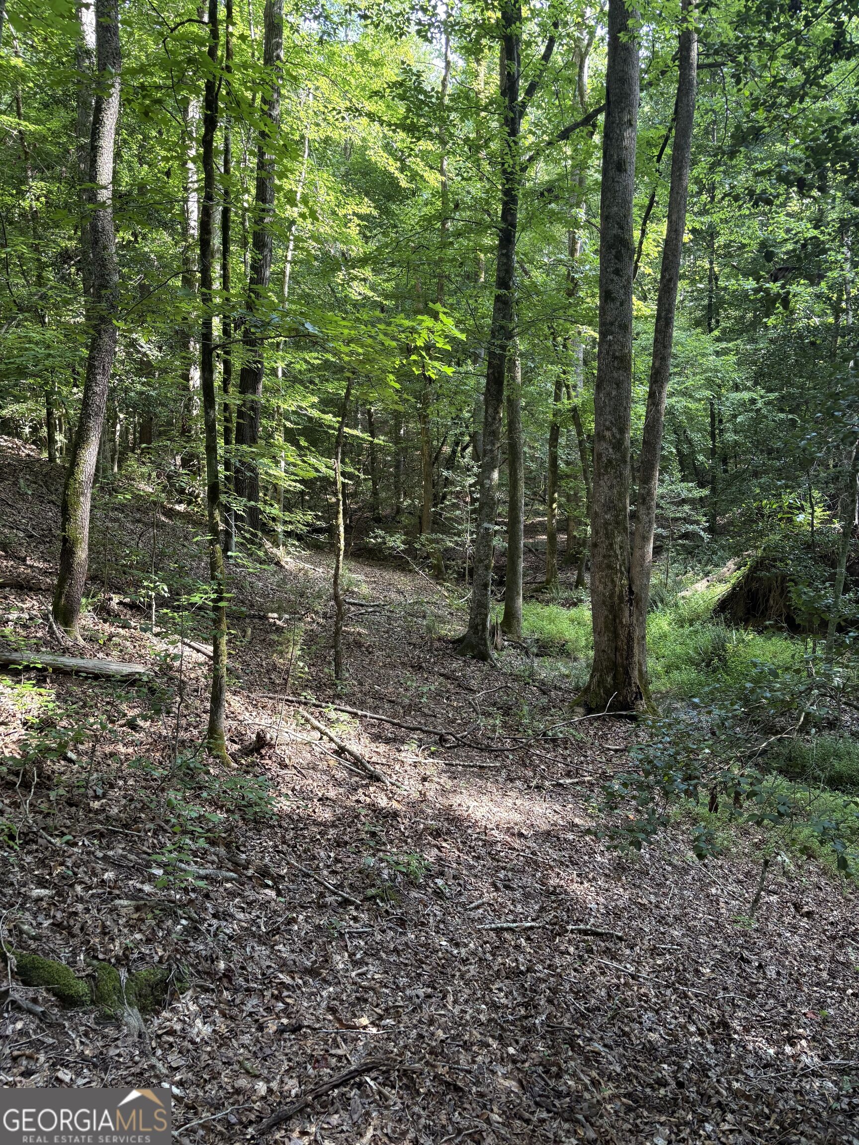 1208 Hornets Bridge Drive Property Photo 17