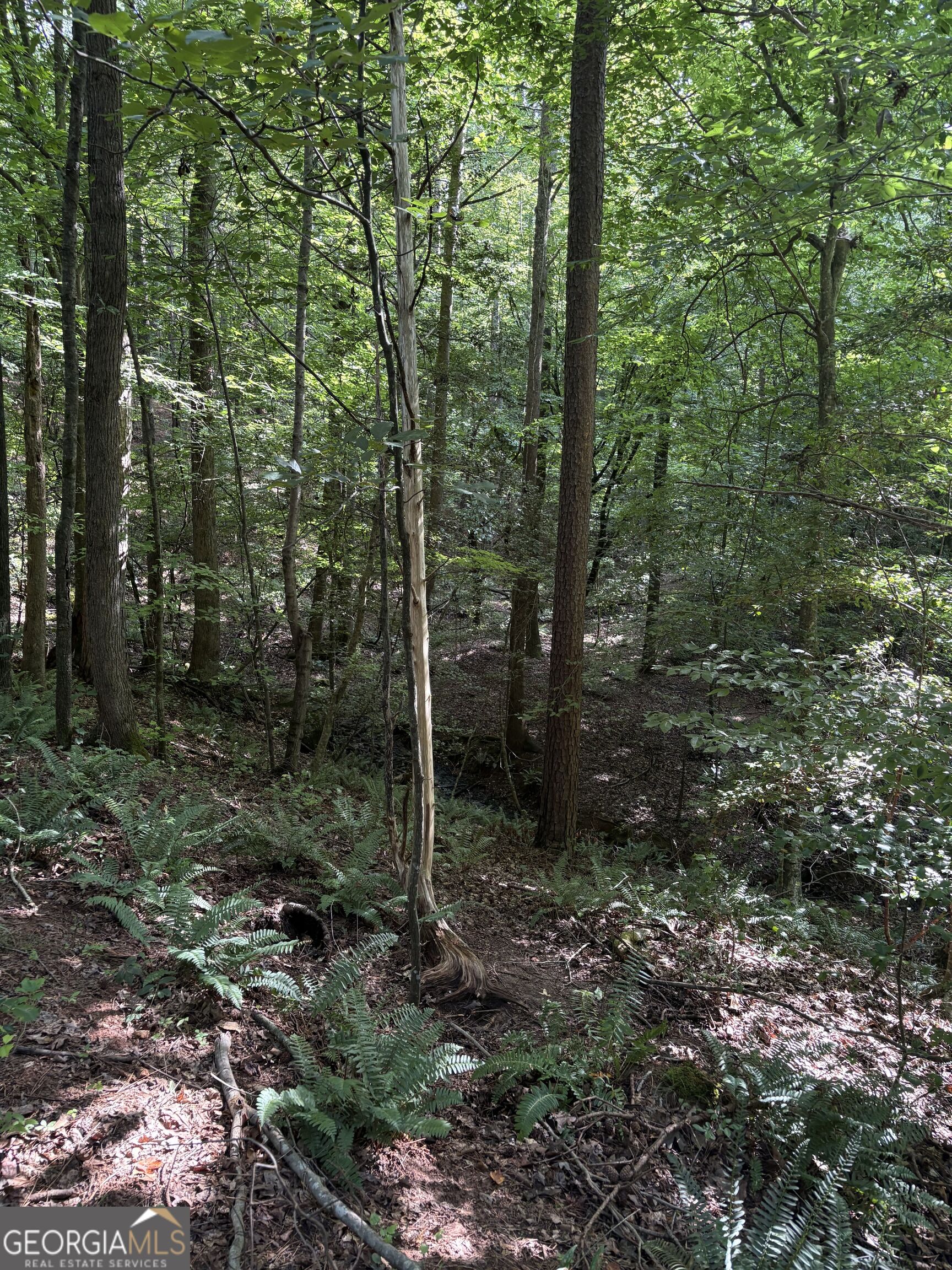 1208 Hornets Bridge Drive Property Photo 20