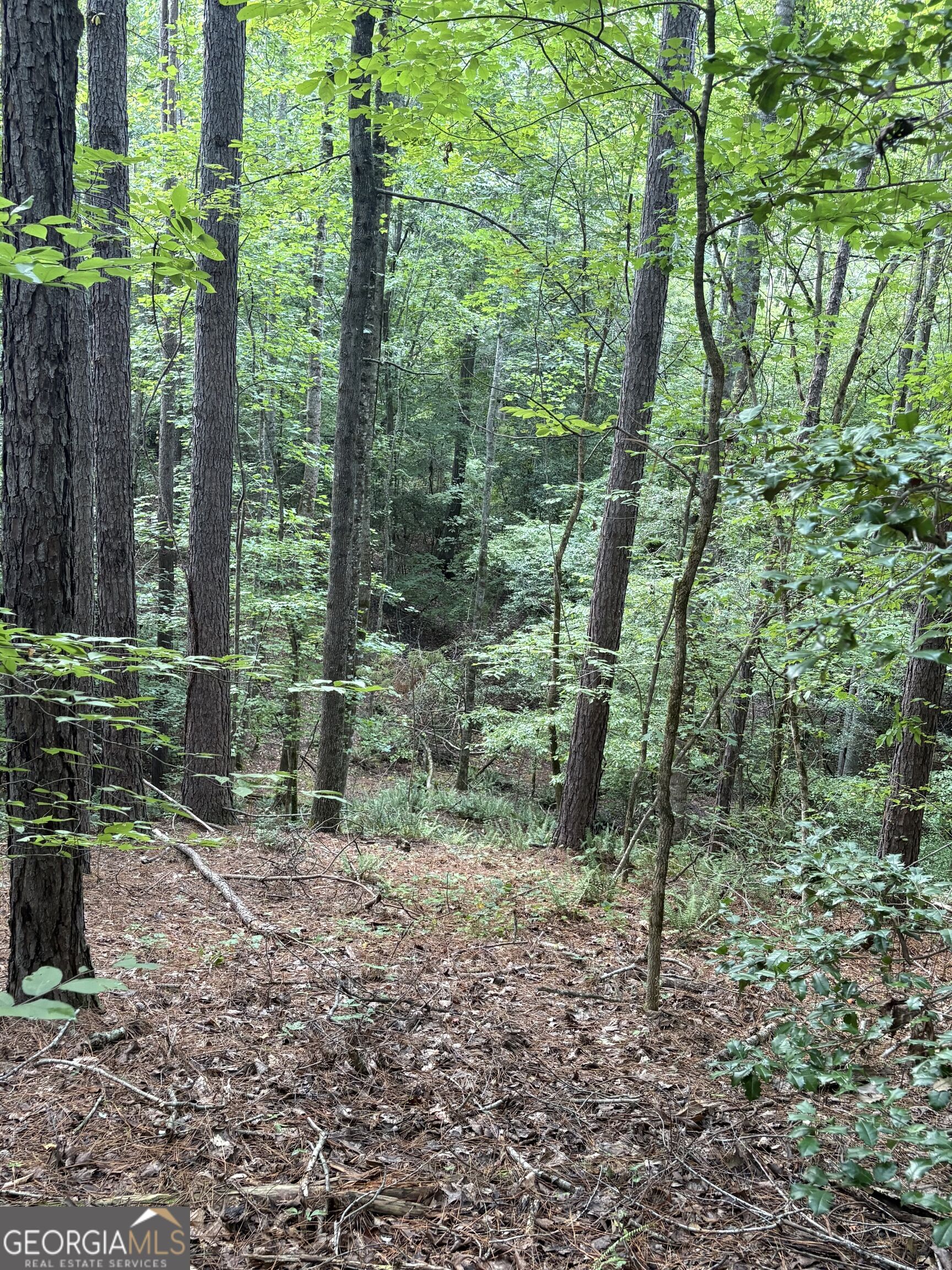 1208 Hornets Bridge Drive Property Photo 21