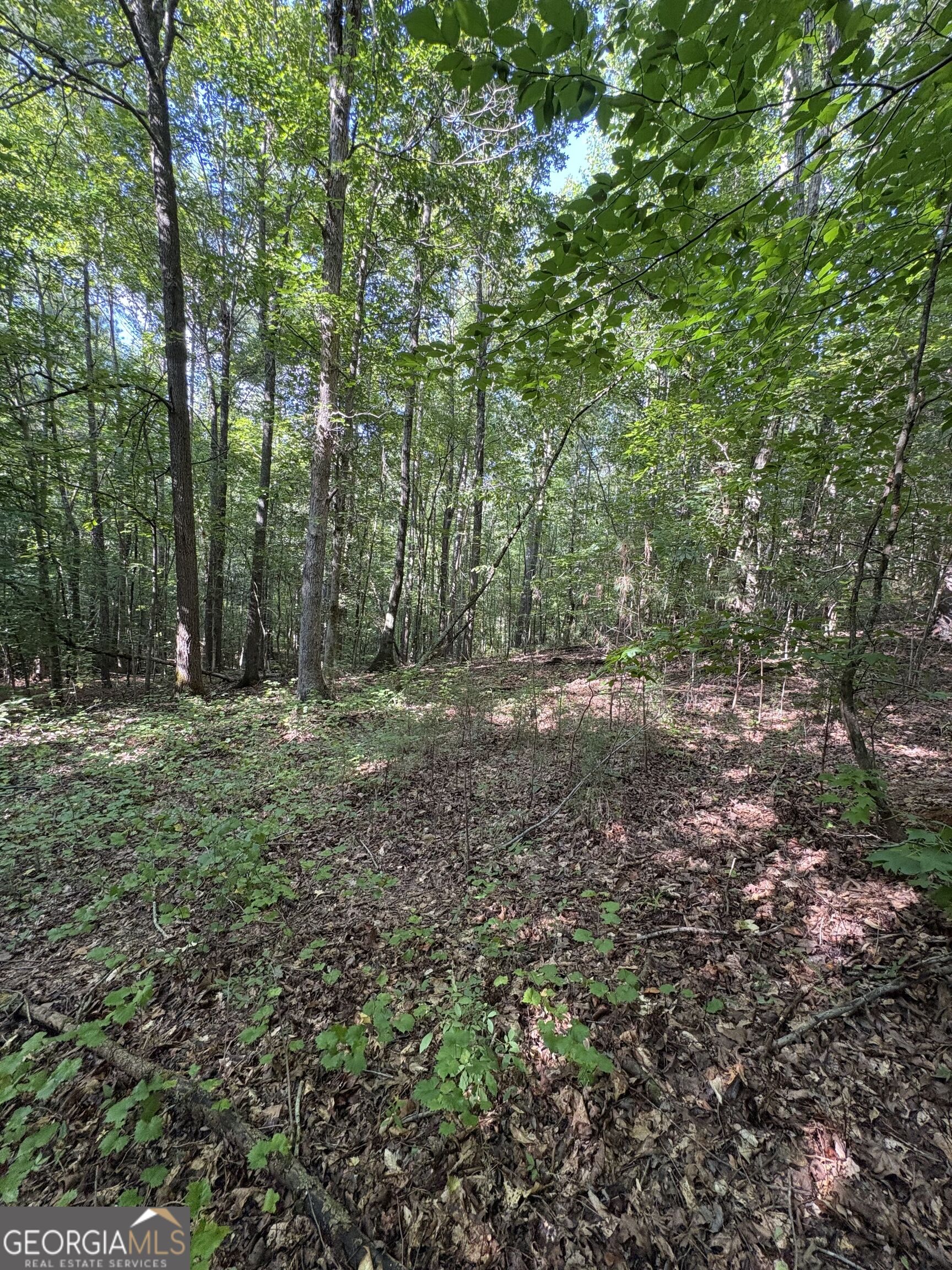 1208 Hornets Bridge Drive Property Photo 22
