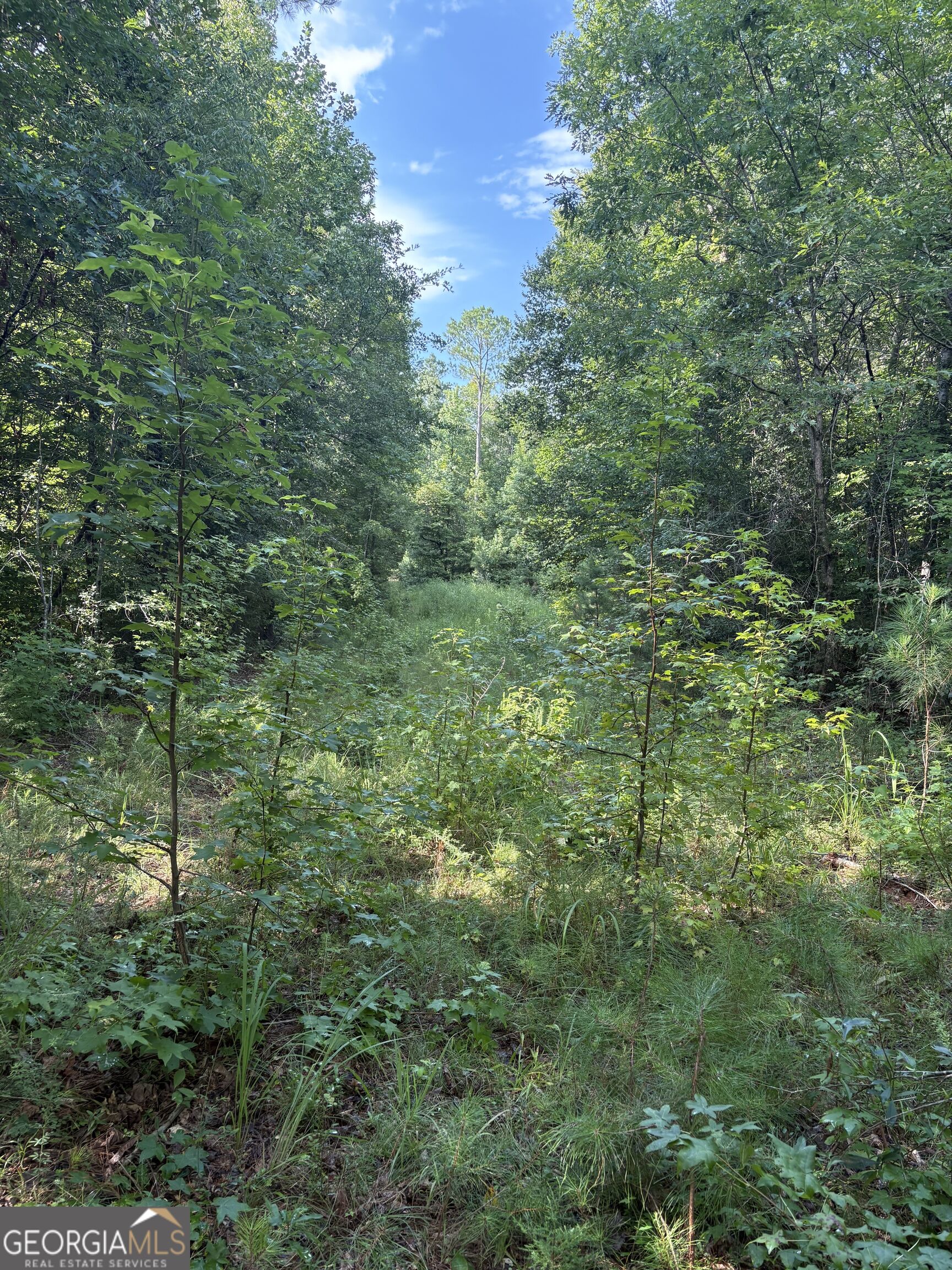 1208 Hornets Bridge Drive Property Photo 23