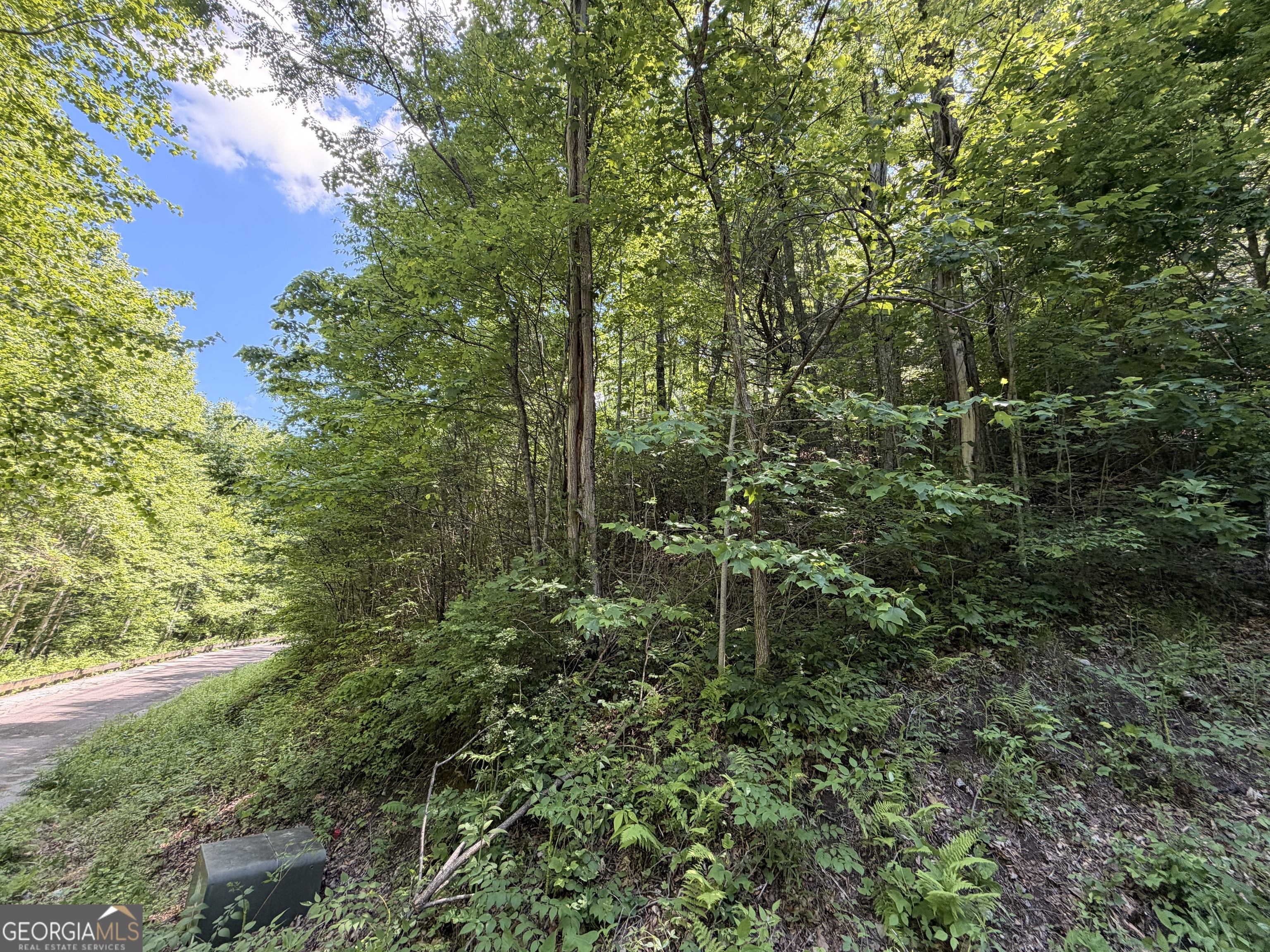 0 Shake Hollow Property Photo 5