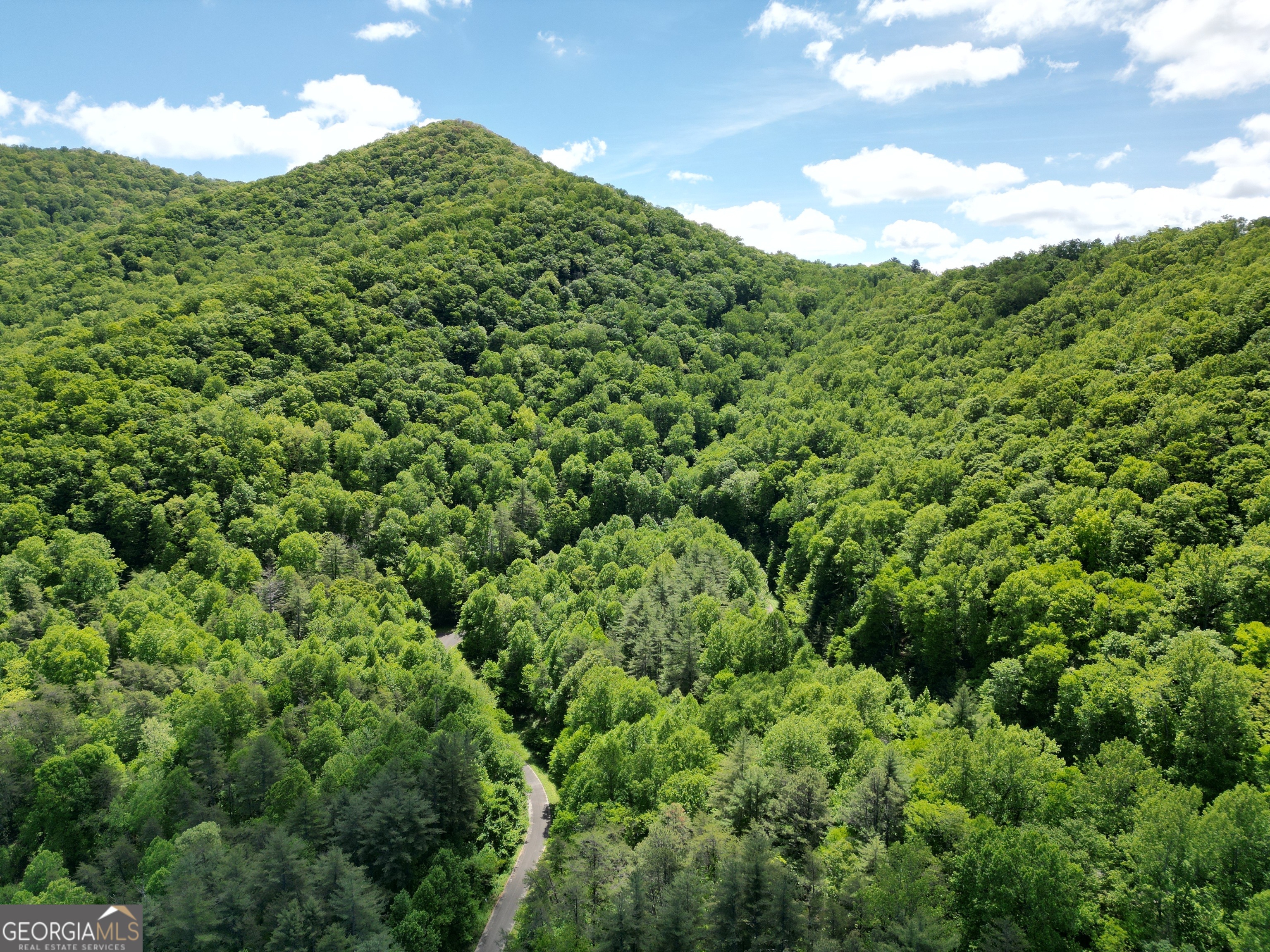 0 Shake Hollow Property Photo 11