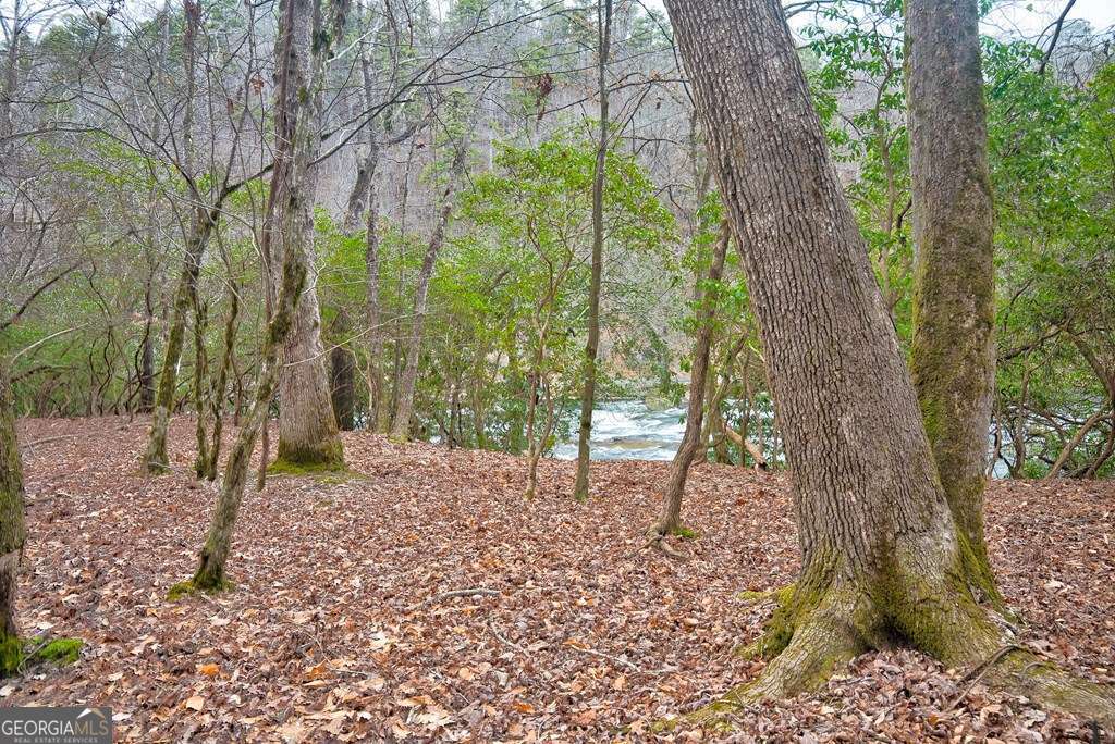 8 Acres Brunton Circle Property Photo 2