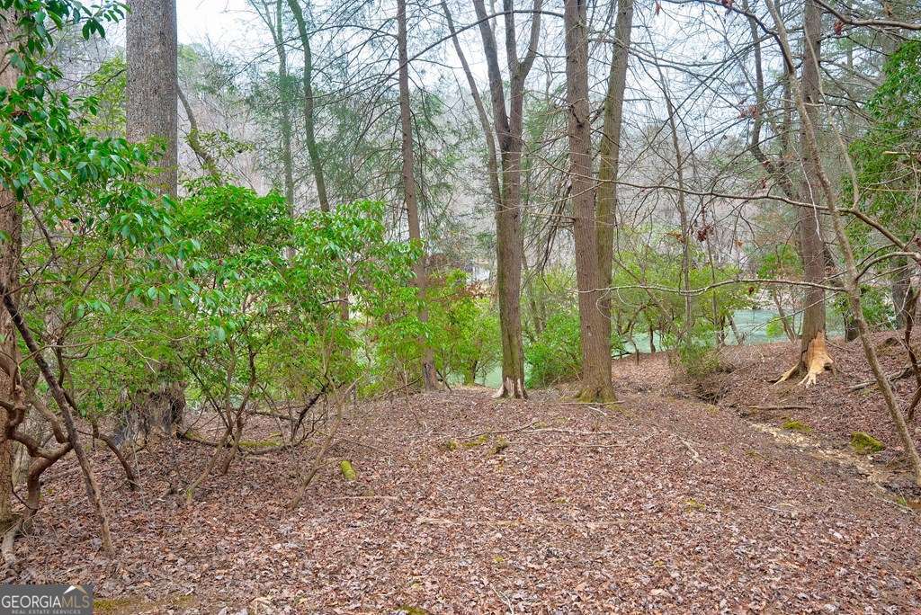 8 Acres Brunton Circle Property Photo 3
