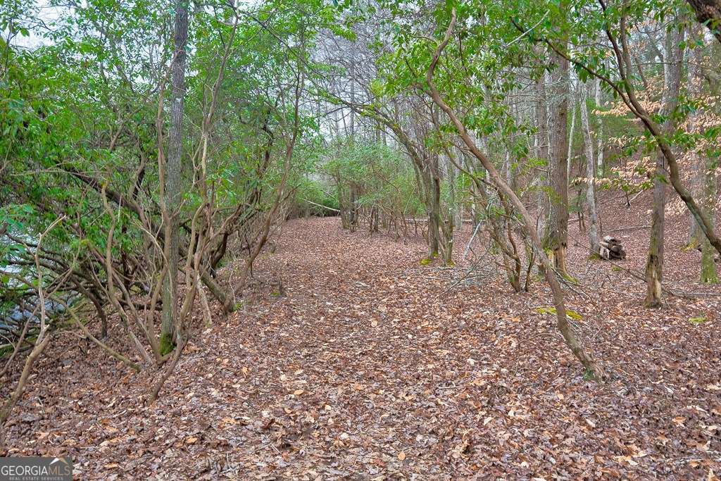 8 Acres Brunton Circle Property Photo 4