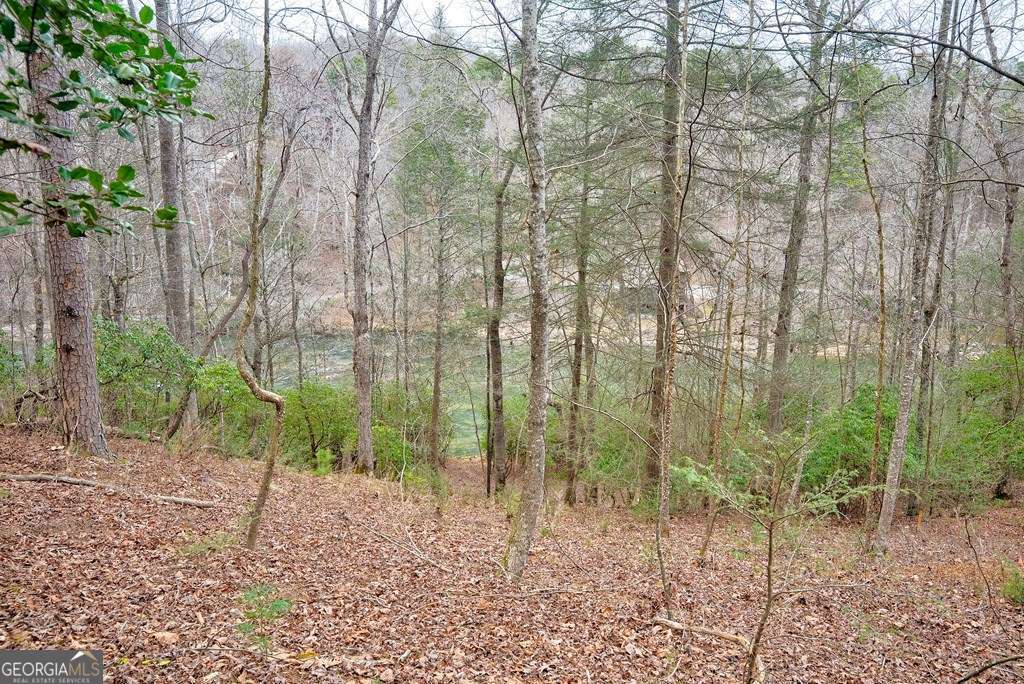 8 Acres Brunton Circle Property Photo 5