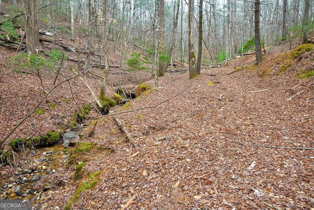 8 Acres Brunton Circle Property Photo 9