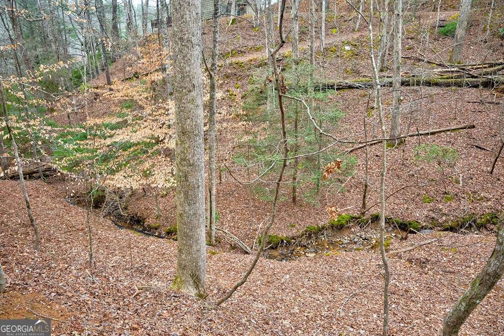 8 Acres Brunton Circle Property Photo 10
