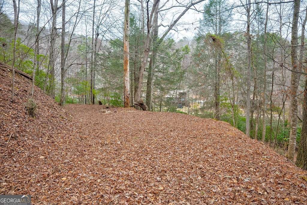 8 Acres Brunton Circle Property Photo 11