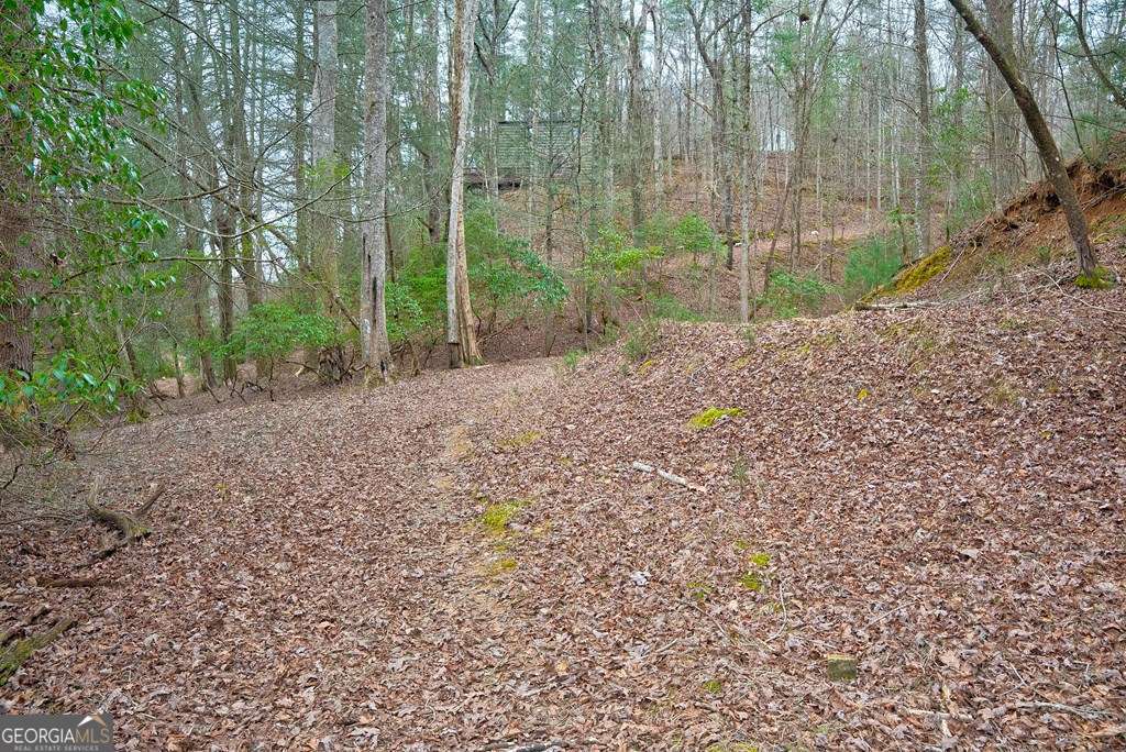 8 Acres Brunton Circle Property Photo 13